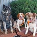 John Bachmann - @john.bachmann.773 - Instagram