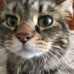 John Backus - @max_050708 - Instagram