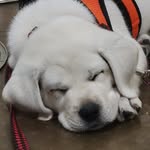 John Backus - @johnbackus.com2 - Instagram