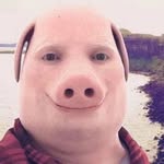 John Bacon Pork - @its_me_john_pork - Instagram