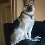John Baggott - @muppett1959 - Instagram