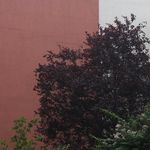 John Bailor - @pushthebuttonjohn - Instagram