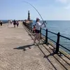 John bainbridge - @johnbainbridge61280 - TikTok