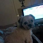 John Bainbridge - @johnbainbridge1371 - Instagram