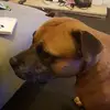 John Bainbridge - @john.bainbridge - TikTok