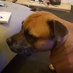 John Bainbridge - @bainbridge1974john - Instagram