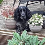 John Bainbridge - @john.bainbridge.3785 - Instagram