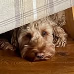 John Baird - @bairdswoodofscotland - Instagram
