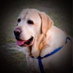 John Baird - @john_baird - Instagram