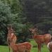 John Baisley - Facebook