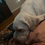 John Baldwin - @johnbaldwin266 - Instagram