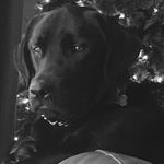 John Ballantyne - @ballantyne511 - Instagram