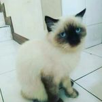 john ballow - @john.ballow - Instagram