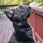 John Bangs - @bangs.john - Instagram