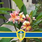John Banham - Facebook