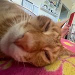 John Liu - @johnbara_ - Instagram