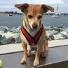 johnbarba4850 - @johnbarba4850 - TikTok