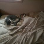 John Barbee - @i_have_pockets - Instagram