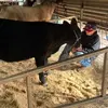 John barker - @johnbarker11008 - TikTok