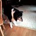 John Barkey - Facebook