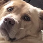 John Bakerman - @john_barkman17 - Instagram