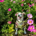 @john.barks_ - Instagram