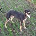John Barnard - Facebook