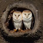 John Barnard - @johnbarnard56 - Instagram