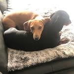 John Barresi - @jbarresi69 - Instagram