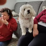 John Barresi - @john.barresi.14 - Instagram