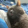 John Michael Barresi - @john.michael.barr4 - TikTok