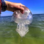 John Barrier - @barrier7030 - Instagram