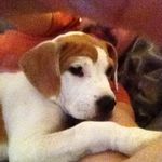 John Barrier - @jtbarrier - Instagram