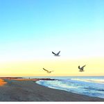 John Barrier - @johnbarrier - Instagram