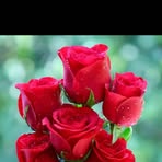 John Barris - Facebook