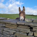 John Barrows - @jbarr1161 - Instagram