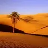 John Barrows - @johnbarrows7755698 - TikTok