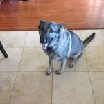 John Bartell - @bartell_john - Instagram