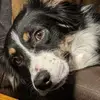 johnbartenschlag - @johnbartenschlag - TikTok