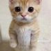 John Barthel - Facebook