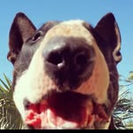 John Barthelemy - @johnbarthelemy1960 - Instagram
