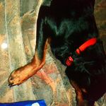 John Bartley - @john.bartley.12139 - Instagram