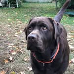 John Bartram - @johnbartram54 - Instagram
