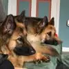 John Bartram - @john.bartram97 - TikTok