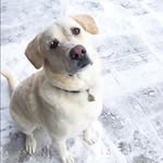 John Bartsch - @wheresjohnb - Instagram