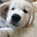 John Bashaw - @lin174den - Instagram