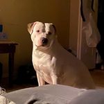 John Bashaw - @bunkers02 - Instagram