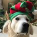 John Bashaw - Facebook