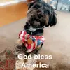 John b - @john.basile3 - TikTok