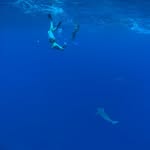 John Bates - @johnbates33 - Instagram